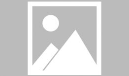 喰种漫画,喰种生存法则